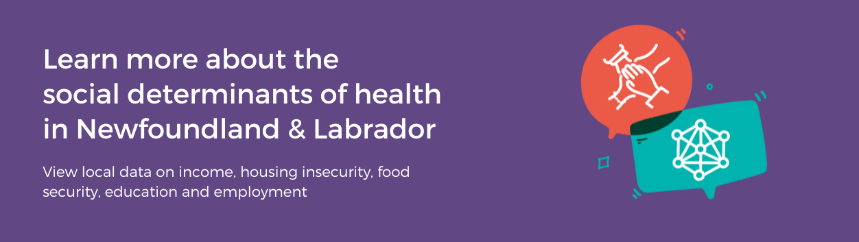 Learn more about the social determinants of health in Newfoundland & Labrador. View local data on income, housing insecurity, food security, education and employment.